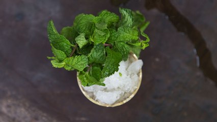 How to Make a Mint Julep