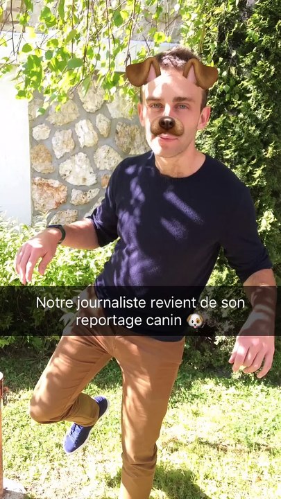 Parc de Champagne : les toutous ont la parole