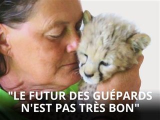 L'amitié est-elle possible avec un guépard ?