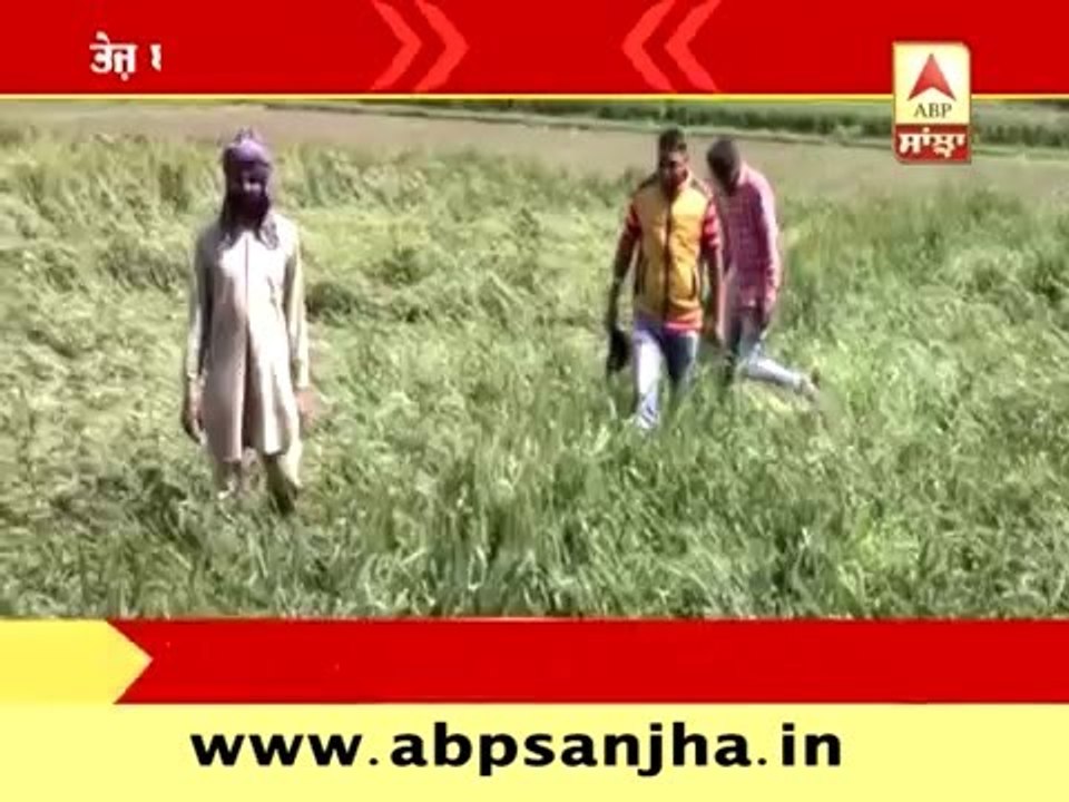 Rain brought problems for farmers