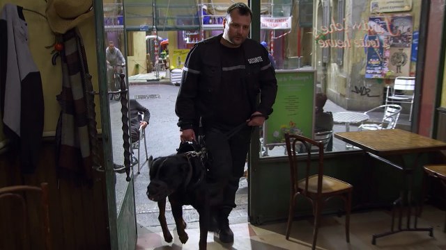 PBLV Episode 3011 (extrait)