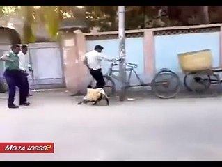 Must watch funny bangla video angry sheep attacking publics...