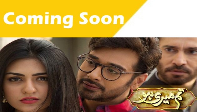 Tum Meri Ho New Drama ARY Digital Teaser 2