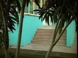 Anagram skateboards Nils Inne from Texzas