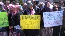 Köylü Kadınlardan Yol Tepkisi