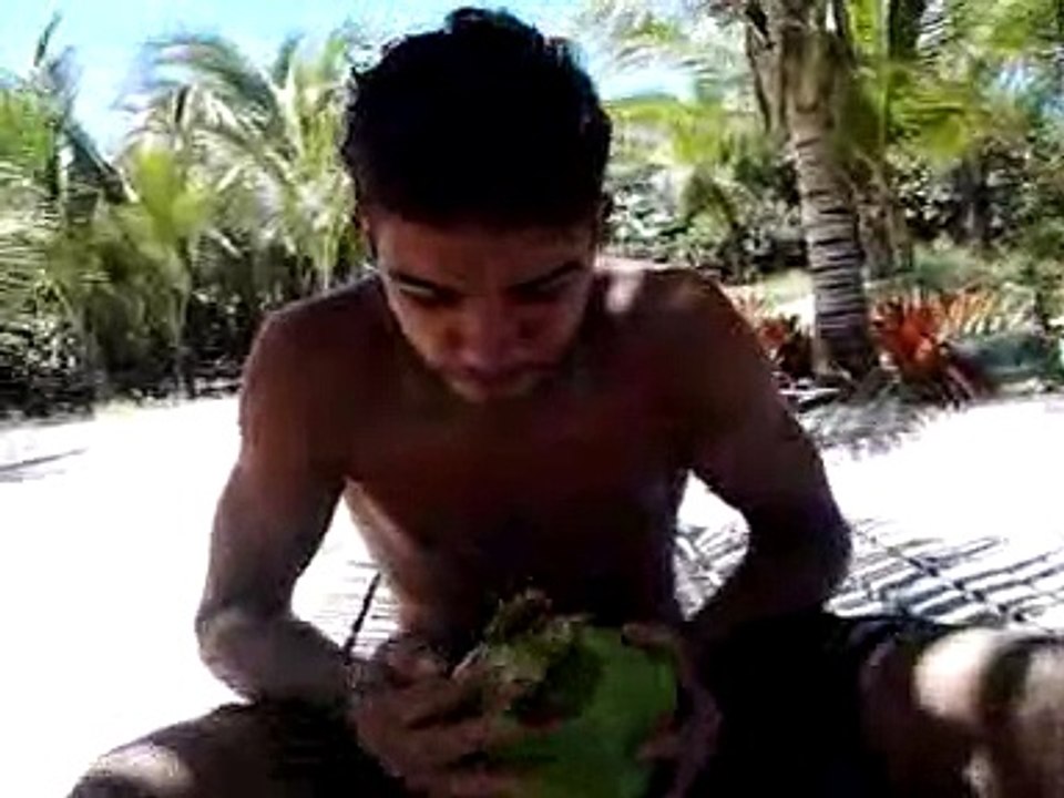 Descascando coco com a boca