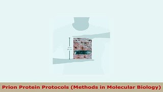 Download  Prion Protein Protocols Methods in Molecular Biology Read Online