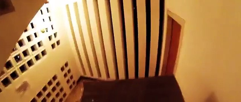 Así fueron entregadas las cajas con las firmas para activar el revocatorio