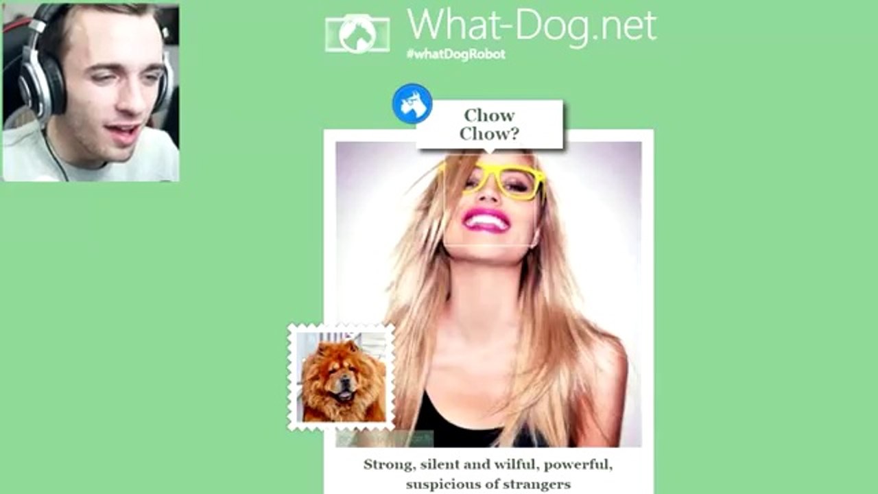 QUEL CHIEN ÊTES-VOUS ? Dailymotion chien - squeezie derrick