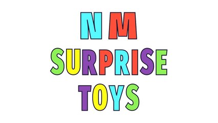 NM Surprise Toys Welcome Intro