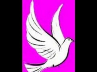 AYAWASKA - Bleu Blanc Rouge