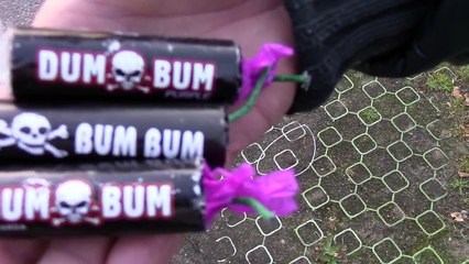 DUM BUM vs BUM BUM vs DUM BUM Purple klasek/tomaszek vuurwerk/fireworks