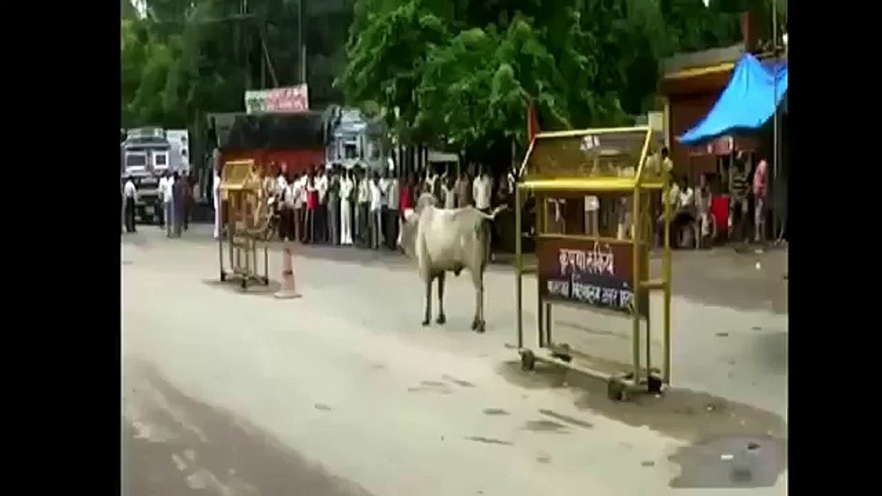Indian Godman and his beloved follower(Very Funny)