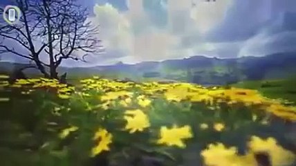 لايعين شي على الثبات في الدين