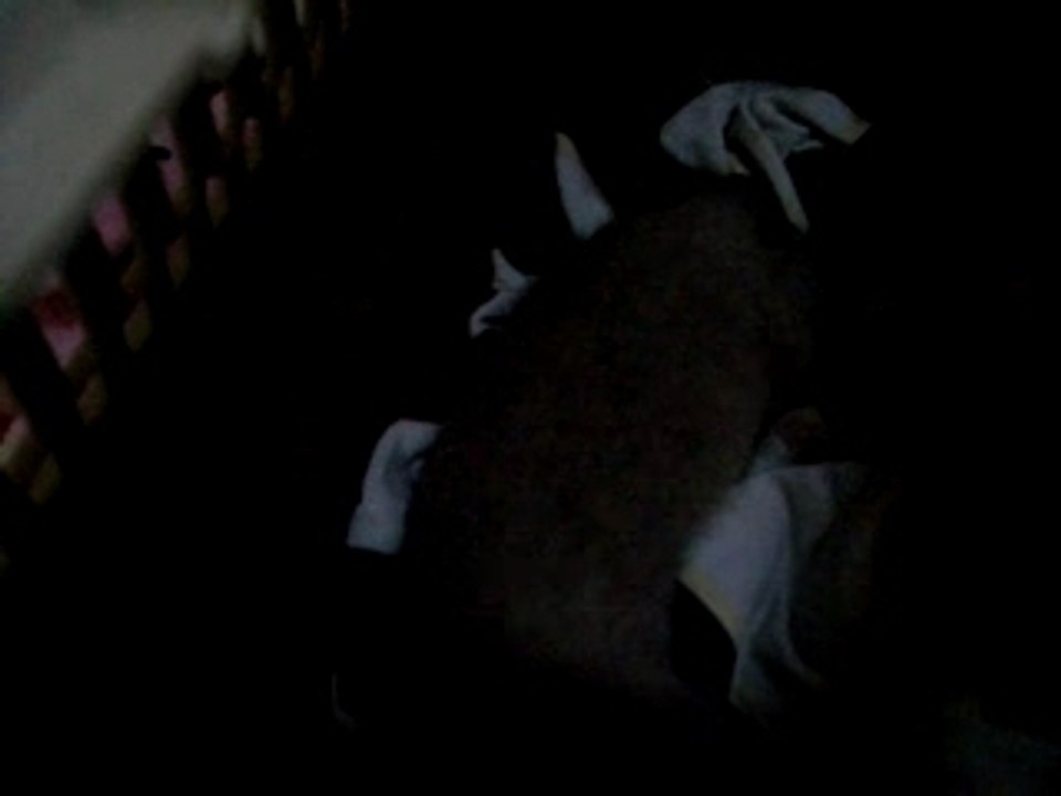 Lithium et le bouchon