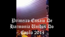 Primeiro Encontro de Harmonia Unidos do capão 2014 samba enredo