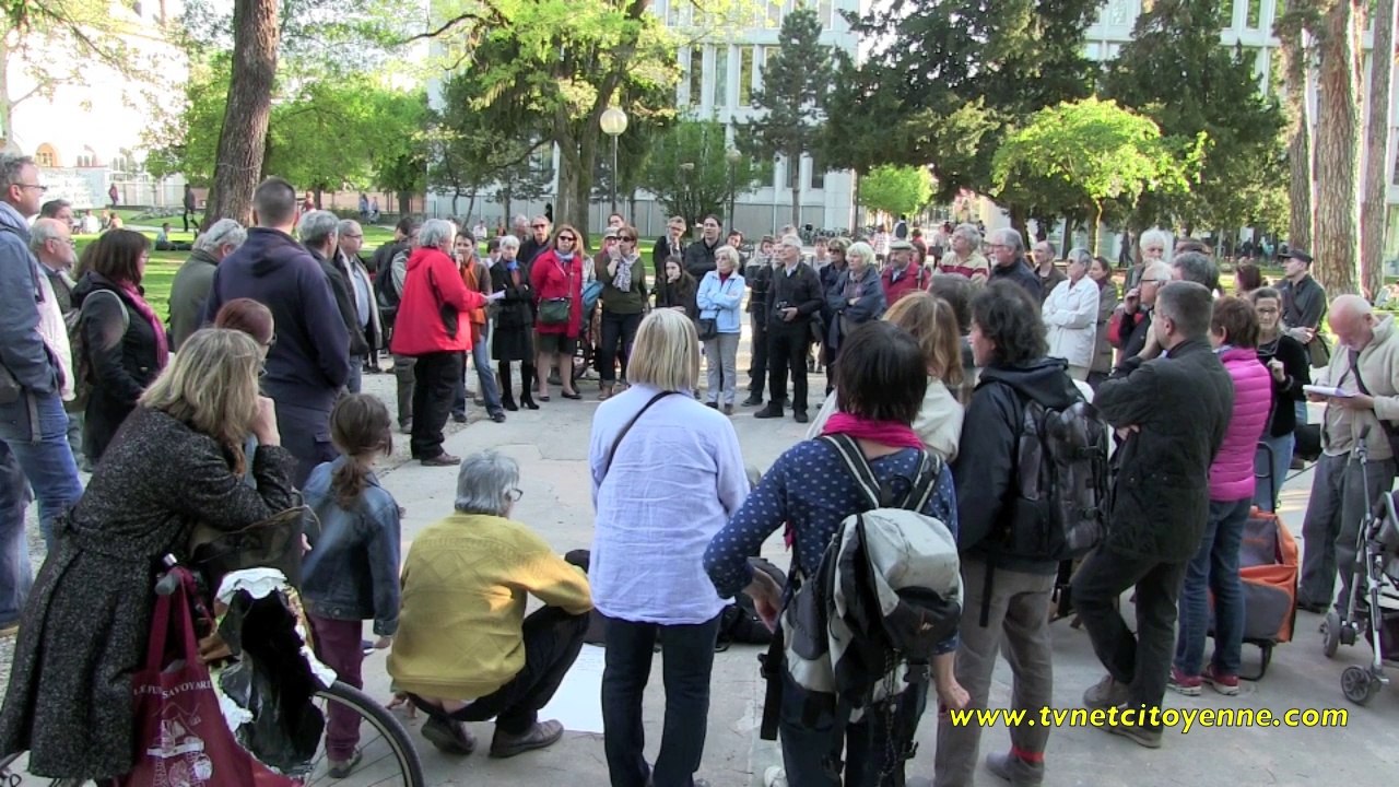 Quand l'abattage des  arbres cristallise la colère citoyenne