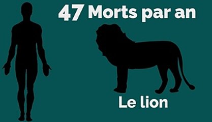 Quel est l'animal le plus dangereux au monde ?