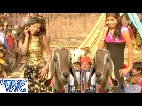 HD बोकवा पलसर पर सवार - Bokwa Pulser Per Sawar - Bhojpuri Hot Songs 2015 new