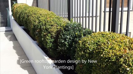 Hire New York Plantings for your Greenroof design NYC