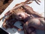 Sirena en Mexico CONTROVERSIA VERACRUZ AGOSTO 2015 MERMAID IN MEXICO AUGUST 2014 Video Dailymotion