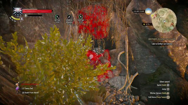 WITCHER 3 DEATH MARCH! WALKTHROUGH 223 - BROTHERS IN ARMS