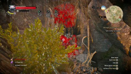 WITCHER 3 DEATH MARCH! WALKTHROUGH 223 - BROTHERS IN ARMS