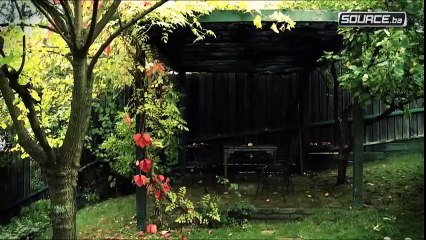 alija izetbegovic - zlatne kasike