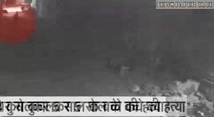 Five Year Old Kid Murder By Stone Hit On Head