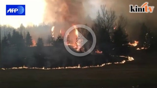 Kebakaran hutan, ribuan penduduk meninggalkan bandar