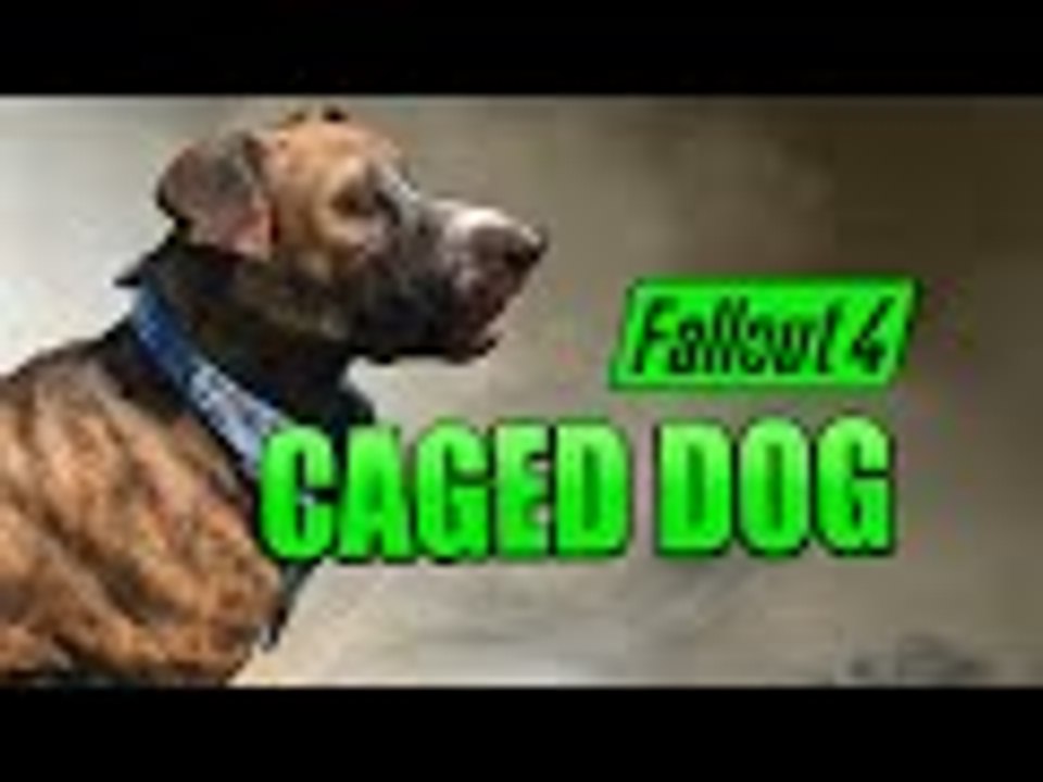 Fallout 4 | Secret CAGED DOG and Vendor Location