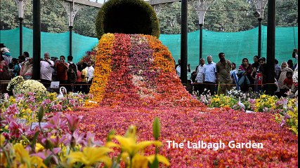 Must See Tourist Destinations in Bangalore