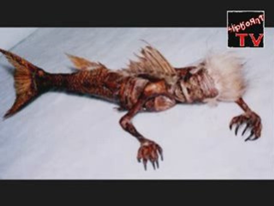 Cryptozoologie & Cie