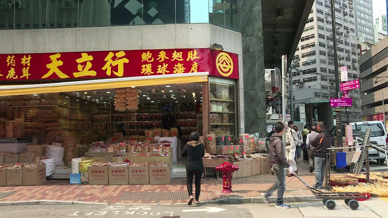 Mexico fights to save species ensnared in China black market