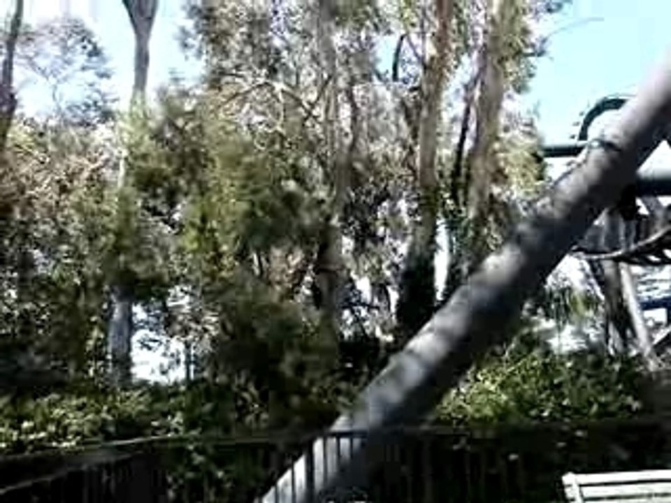 MOV03718