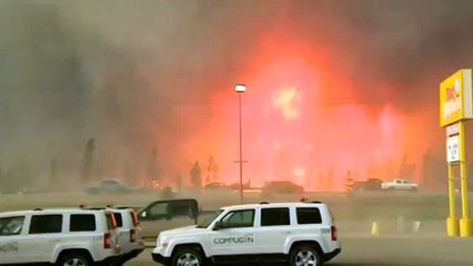 Wildfire in Canada forces entire city to evacuate