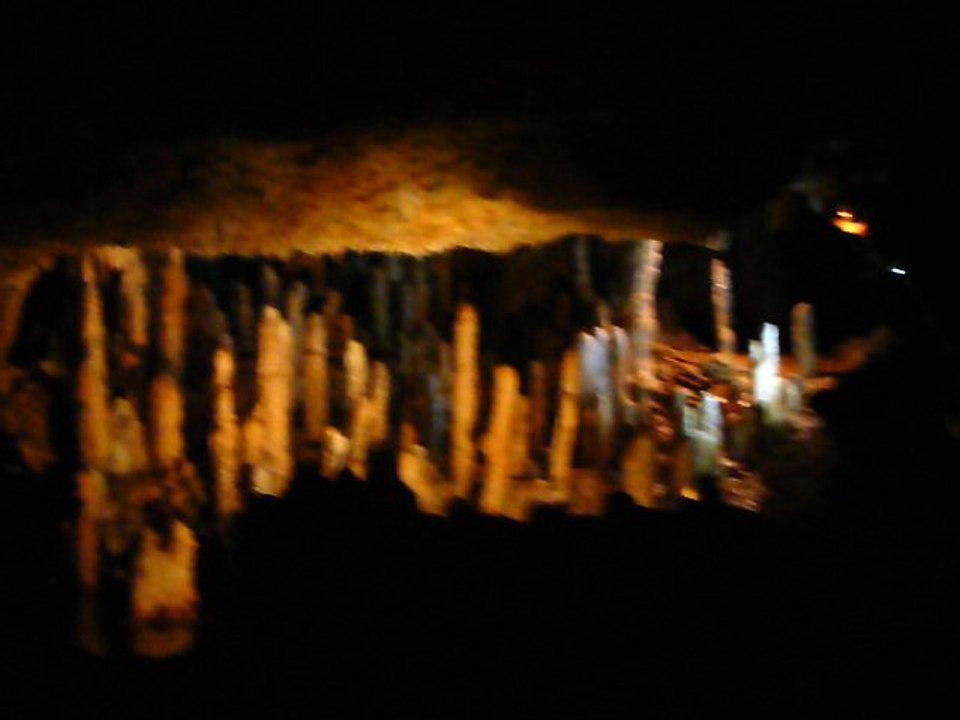 BARBADOS 053 P1080544