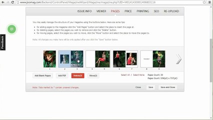 How to replace pages of the publication with a PDF file