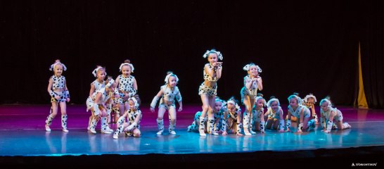 Далматинцы. Студия Визинова.