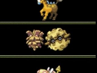 Shineys 2nde génération