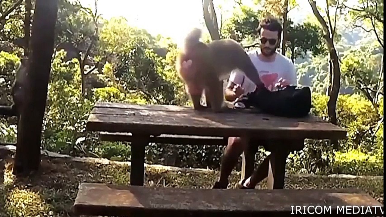 Funny Clip Compilation 2016