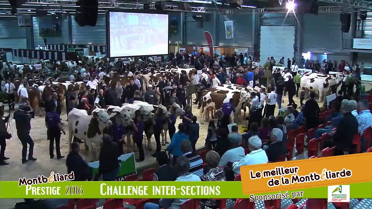 Montbéliard Prestige Streaming Live (4)