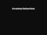 [PDF] Circulating Fluidized Beds [Download] Full Ebook