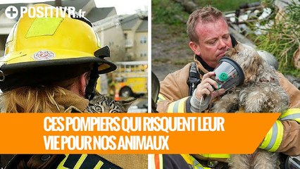 Quand les pompiers risquent leur vie pour nos animaux