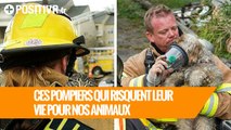 Quand les pompiers risquent leur vie pour nos animaux