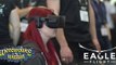 Eagle Flight y Lobo para Realidad Virtual