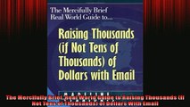 Free PDF Downlaod  The Mercifully Brief Real World Guide to Raising Thousands If Not Tens of Thousands of READ ONLINE