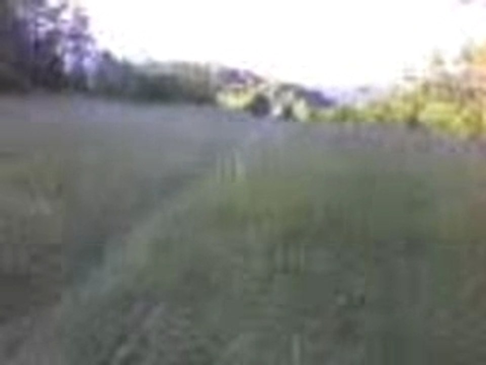 pw80