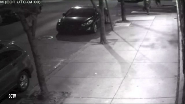 Woman forced to fight off sex attacker as he tries to grab her off street