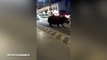 Escaped circus hippo makes a desperate bid for freedom across busy road in jaw-dropping footage